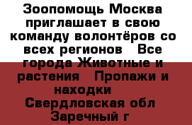 Зоопомощь.Москва приглашает в свою команду волонтёров со всех регионов - Все города Животные и растения » Пропажи и находки   . Свердловская обл.,Заречный г.